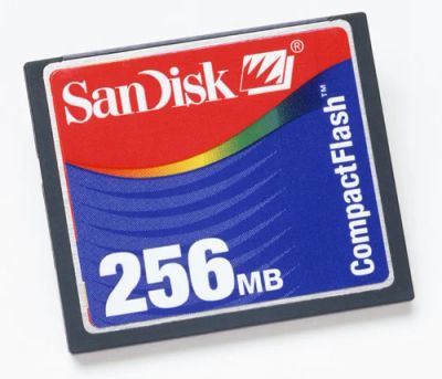 Лот: 5301065. Фото: 1. SanDisk Compact Flash 256Mb. Карты памяти