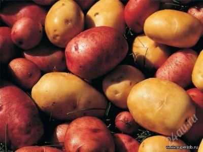 Лот: 1186547. Фото: 1. картофель деревенский, с рыбинского... Картофель