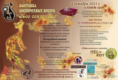 Лот: 1225092. Фото: 1. Выстовка беспородных кошек "Моё... Другое (растения и животные)