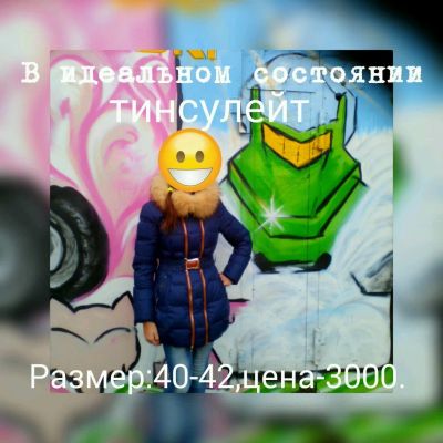 Лот: 6435147. Фото: 1. Пуховик. Верхняя одежда