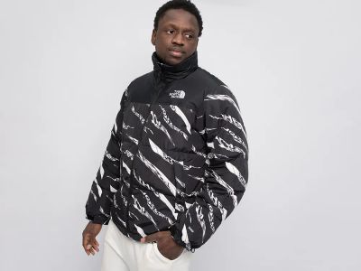 Лот: 24978414. Фото: 1. Куртка зимняя The North Face. Верхняя одежда