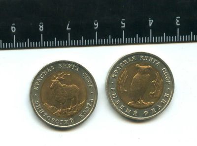 Лот: 16923608. Фото: 1. (№7105) Серия Красная Книга 5... Россия после 1991 года