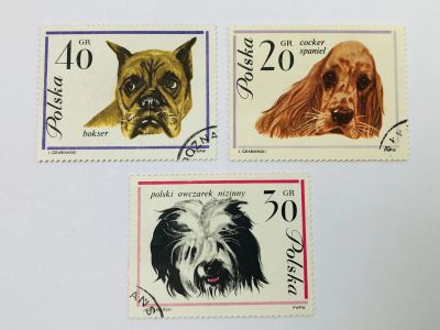 Лот: 23964383. Фото: 1. Собаки. Кокер-спаниель. Польская... Марки