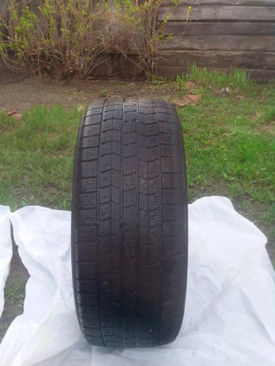 Лот: 7575143. Фото: 1. Шина Dunlop. Шины