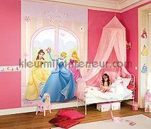 Лот: 5089120. Фото: 1. Фотообои Disney Princess 184x254см. Интерьерные наклейки