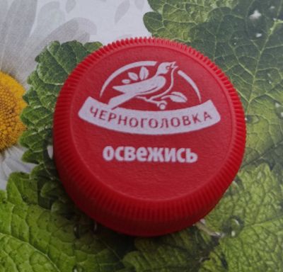 Лот: 19830725. Фото: 1. Пробка ПЭТ. Крышка. Бутылки, пробки, этикетки