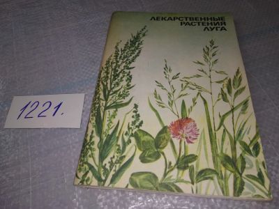 Лот: 18624922. Фото: 1. Сафонов, Н.Н. Лекарственные растения... Популярная и народная медицина