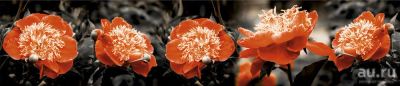 Лот: 13832372. Фото: 1. SP 114 Стеновые дизайн панели... Фартуки для кухни
