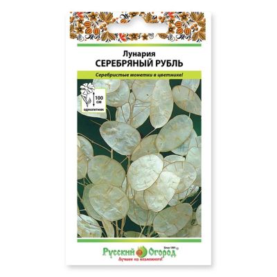 Лот: 24615317. Фото: 1. Семена Цветы, Лунария, Серебряный... Другое (семена, рассада, садовые растения)