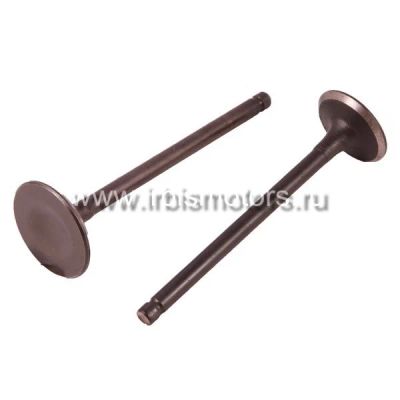 Лот: 11749706. Фото: 1. Клапаны (впуск/выпуск) 158QMJ... Запчасти