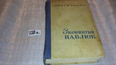 Лот: 7617284. Фото: 1. Знаменитый Павлюк, Павел Нилин... Художественная