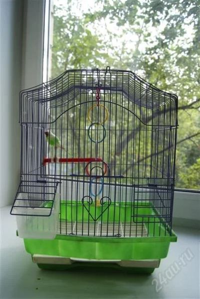 Лот: 1904309. Фото: 1. Клетка для попугаев. Домики, переноски, клетки, когтеточки