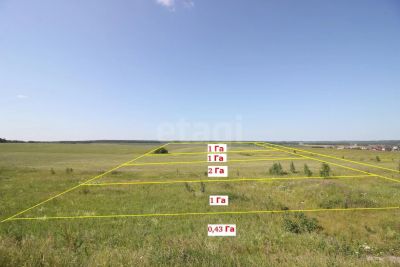 Лот: 25589146. Фото: 1. коммерческая , посёлок Сухая Балка... Коммерческая недвижимость