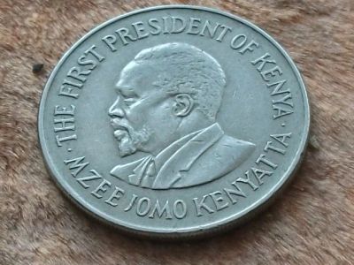 Лот: 10889741. Фото: 1. Монета 1 шиллинг один Кения 1973... Африка