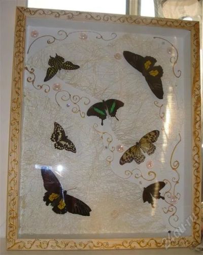 Лот: 2735260. Фото: 1. Великолепный коллаж 50*70 тропические... Рамки, багет