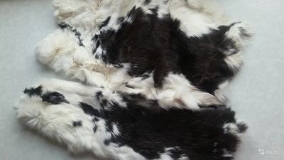 Лот: 14337859. Фото: 1. Шкурки кролика. Ткани, нитки, пряжа