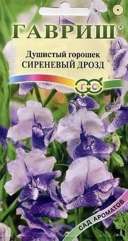 Лот: 11024268. Фото: 1. Горошек Сиреневый дрозд Душистый... Садовые цветы