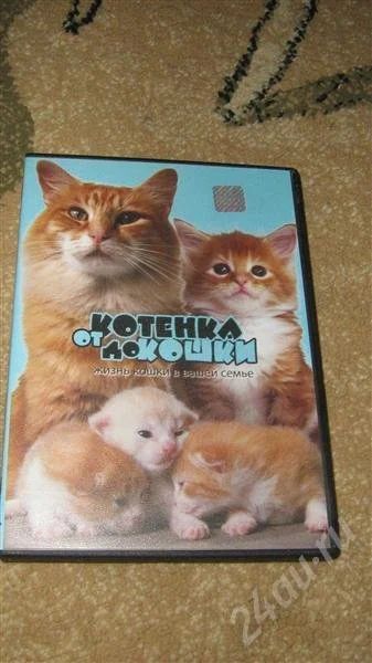 Лот: 220379. Фото: 1. DVD-диск Как ухаживать за кошкой... Разное