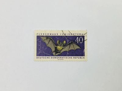 Лот: 23594131. Фото: 1. Охраняемые животные. Бурый ушан... Марки