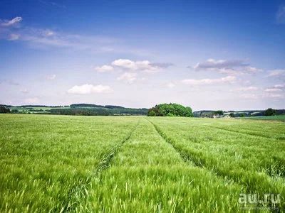 Лот: 13325136. Фото: 1. Земельный участок "Серебряный... Земельные участки