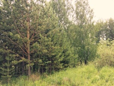 Лот: 5712883. Фото: 1. Земельный участок элита. Земельные участки