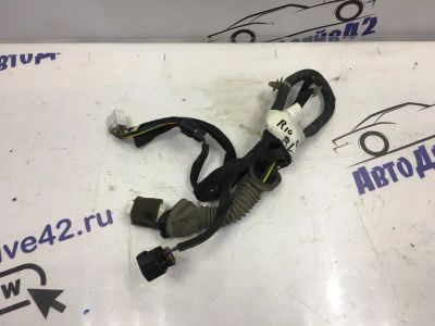 Лот: 21716753. Фото: 1. проводка двери Kia Rio DC. Кузов