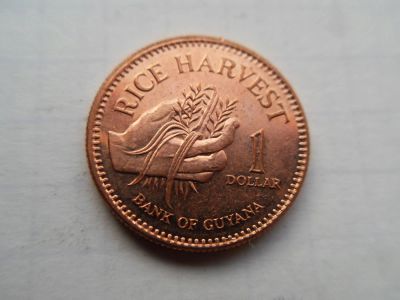 Лот: 8518741. Фото: 1. Гайана 1 доллар 2008. Америка