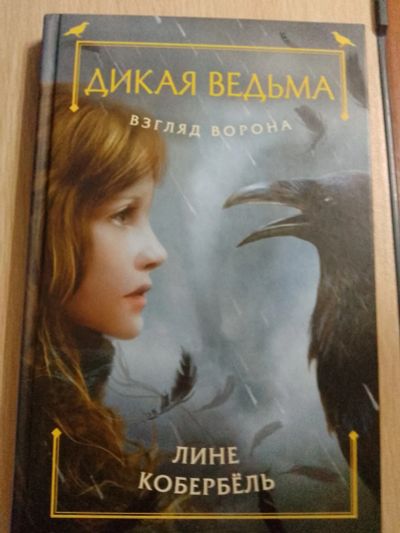 Лот: 22183005. Фото: 1. Книга Дикая ведьма. Художественная для детей