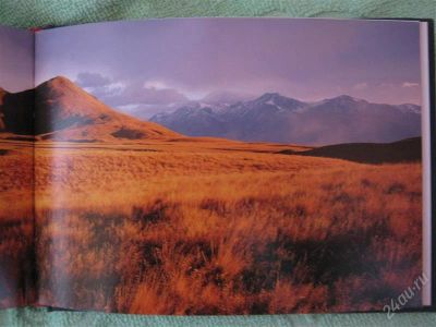 Лот: 2271836. Фото: 1. New Zealand Landscapes (Pocket... Другое (наука и техника)