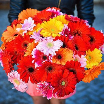 Лот: 8165222. Фото: 1. Сборный букет. Цветы на Щорса... Свежие цветы