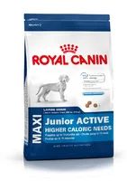 Лот: 7599025. Фото: 1. Royal Canin maxi junior aktive... Корма