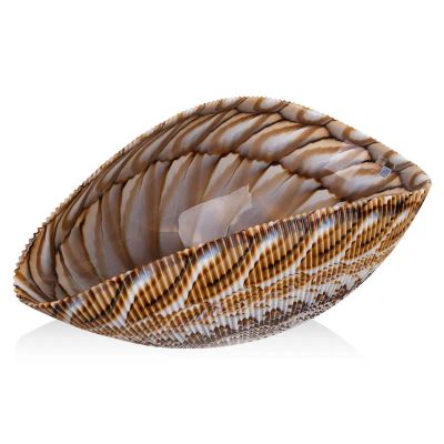 Лот: 25409204. Фото: 1. Блюдо декоративное Yalos Shell. Предметы сервировки