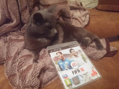 Лот: 8415817. Фото: 1. Fifa 12 для PS 3 | Лицензионный... Игры для консолей