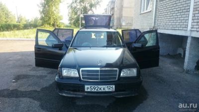 Лот: 8430346. Фото: 1. Продам живого мерина. Автомобили
