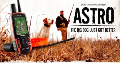 Лот: 4467412. Фото: 1. Garmin Astro 320 трекер для собак... GPS-навигаторы