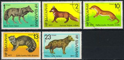 Лот: 19453509. Фото: 1. 1977. Болгария. Дикие животные... Марки