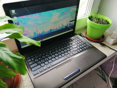 Лот: 17479268. Фото: 1. Ноутбук Asus. Ноутбуки