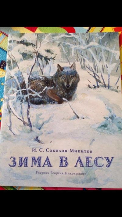 Лот: 9225426. Фото: 1. Зима в лесу сказка. Развивающие