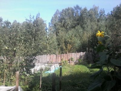 Лот: 3963815. Фото: 1. дача Роев Ручей, можно под ИЖС... Дома
