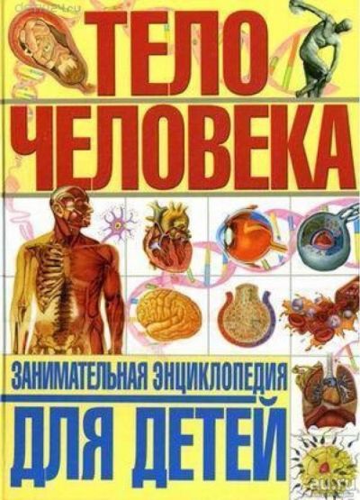 Лот: 11296498. Фото: 1. 🕮Тело человека Занимательная... Познавательная литература