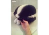 Лот: 6201628. Фото: 1. Шапка из натуральной норки новая... Другое (одежда, обувь, галантерея)