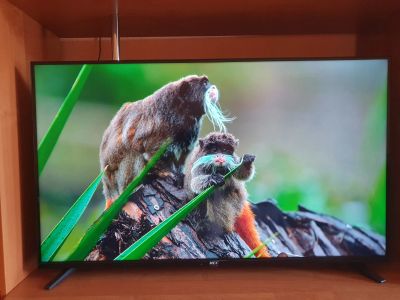 Лот: 20335142. Фото: 1. Smart tv haier hec r1 43 s 4k. Телевизоры