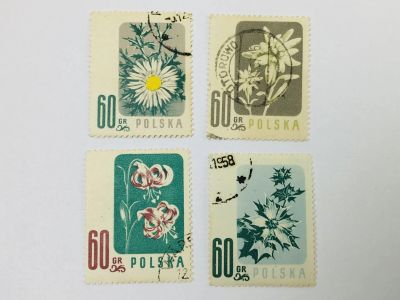 Лот: 23964320. Фото: 1. Охраняемые цветы. Колючник бесстебельный... Марки