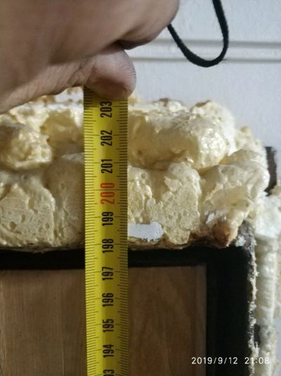 Лот: 14573121. Фото: 1. Дверь входная. Двери входные