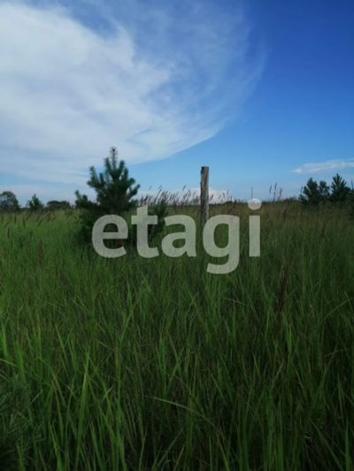 Лот: 25296404. Фото: 1. участок , ДНТ Мальта ДНТ Мальта... Земельные участки
