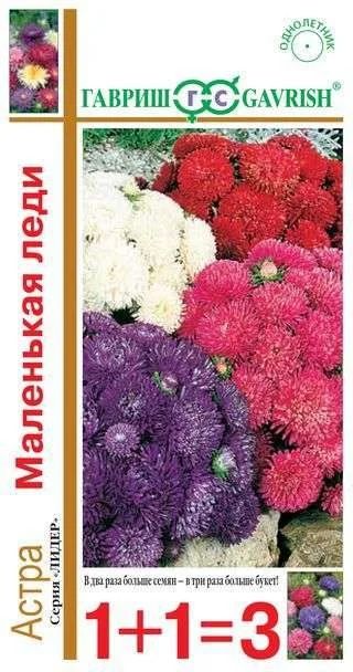 Лот: 11023141. Фото: 1. Астра Маленькая Леди смесь(1+1... Садовые цветы