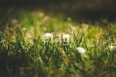 Лот: 25288683. Фото: 1. участок , Красноярск улица Калинина... Земельные участки
