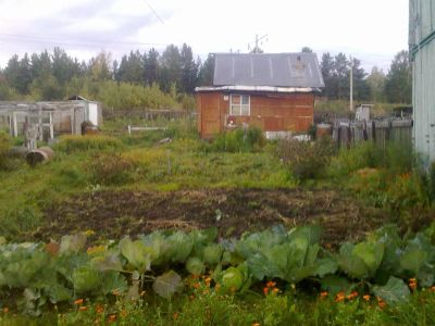 Лот: 3184839. Фото: 1. Продам дачу.7,5 соток. Дачи