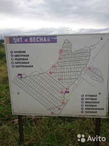 Лот: 12610542. Фото: 1. земля днт. Земельные участки