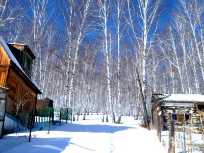 Лот: 6390645. Фото: 1. Срочно Продам Дачу. Дачи